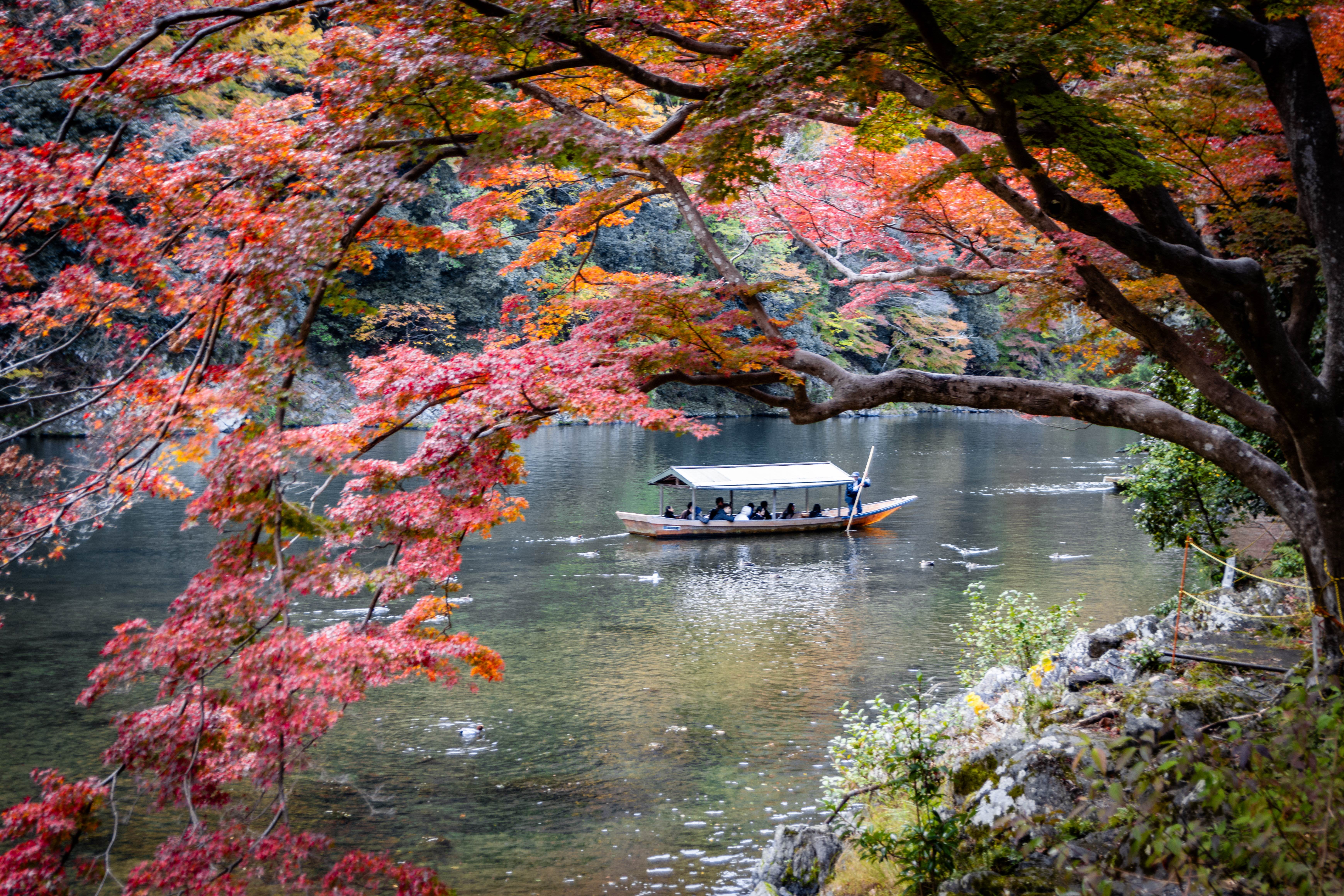 photo-c2f2e72a-890e-4f17-9aab-7b350a1d047a (1)